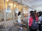 服飾科參觀樹德、南實踐小小弘子1.jpg